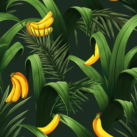 Meet your Posher, Vero - Picture 1 of 1